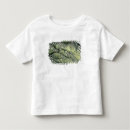 Search for live oak Natural