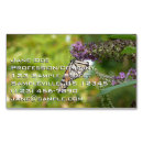 Recherche de papillon pourpre cartes visite Nature