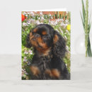 Search for cavalier king charles spaniel birthday cards Spaniels