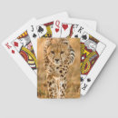 Recherche de mise jeux de cartes Gallo images