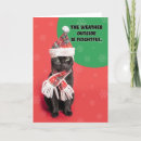 Search for grumpy cat christmas cards Animal