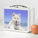 Search for puppy lunch boxes Dog