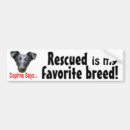 Search for dog breed bumper stickers Adopt