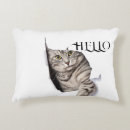 Recherche de compagnon coussins Chat
