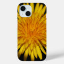 Search for dandelion flower iphone cases Yellow