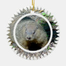 Search for groundhog ornaments Animal