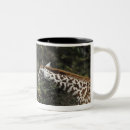 Search for acacia mugs Giraffe