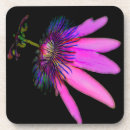 Search for passion coasters Decorative