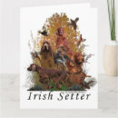 Search for irish setter cards Autumn
