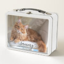 Search for cats lunch boxes Pet