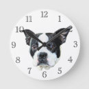 Recherche de animal familier art Terrier de boston