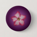 Search for flora round buttons Nature