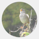 Search for sings stickers Bird