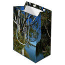 Search for koala gift bags Bear