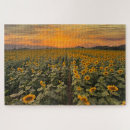 Recherche de terrain de photographie jeux Coucher du soleil