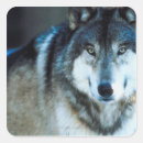 Search for timber stickers Nature