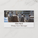 Search for agriculture business cards Butcher