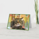 Recherche de belated anniversaire cartes Humour