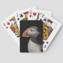 Search for puffin gifts Animal