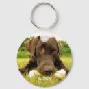 Search for chocolate labrador keychains Cute