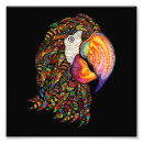 Recherche de dessin perroquet posters Animal