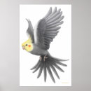 Search for fallow posters Animals