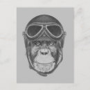 Search for funny chimpanzee postcards Animal