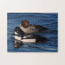 Recherche de canards de parc Photographie de la nature
