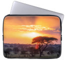 Search for serengeti cases Safari