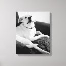 Search for howling canvas prints Grey