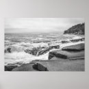Search for crashed posters Black and white