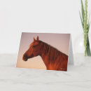 Search for chestnut horse cards Arab
