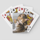 Recherche de chatte jeux de cartes Girl