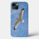 Search for free iphone 12 pro max cases blue