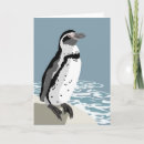 Search for humboldt cards Birds