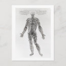 Search for conditioning postcards Vesalius