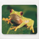 Search for red eye mousepads Wildlife