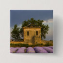Search for lavender square buttons Nobody