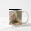 Search for macaque mugs Primate