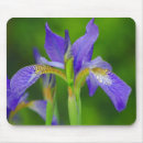 Search for iris flower mousepads Plant