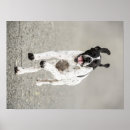 Search for english pointer art Dog