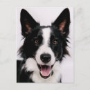 Search for getty postcards Smiling