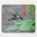 Search for ruby mousepads Hummingbirds