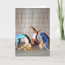 Search for gym cards Friends