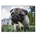 Search for pug calendars Animal