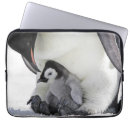 Search for penguin laptop cases Bird