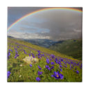 Search for valley tiles Field