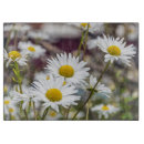 Recherche de marguerites planches à découper Fleurs