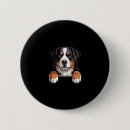 Search for bernese mountain dog buttons Funny
