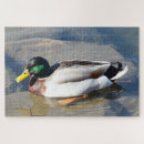 Recherche de duck puzzles Nature